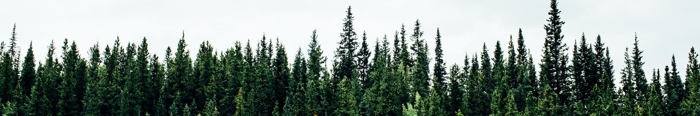 West Philadelphia Friends Meeting